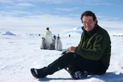 Alastair Fothergill, producer of Wild Isles, sits on the snowy ground with a family of penguins behind
