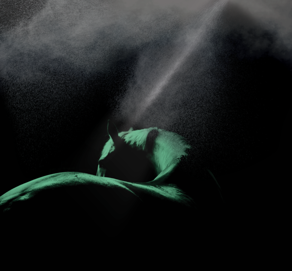 A horse in the shadows, lit in green