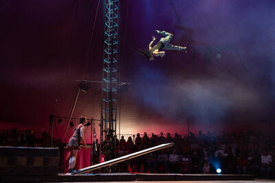 A circus stage where one performer stands on the end of a board, and another does a somersault in the air while an audience watches behind them