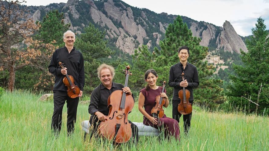 4 people hold strings instruments on a grassy hill in front of a mountainousview