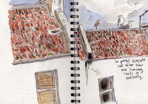 A handdrawn image of a red house rooftop with annotations and seagulls sitting on the top