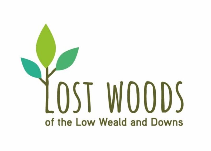 Lost Woods of the Low Weald and Downs