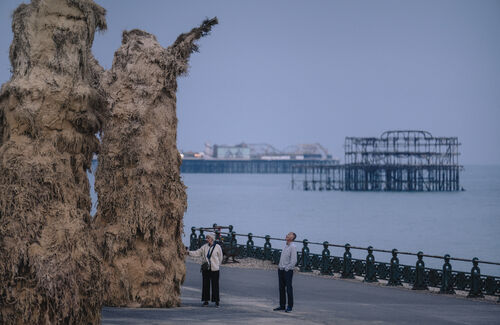 Two people stand on Hove Promenade looking up at Soft Machines sculptures. One person reaches out to touch a sculpture. In the background is the Palace Pier and Brighton Pier.