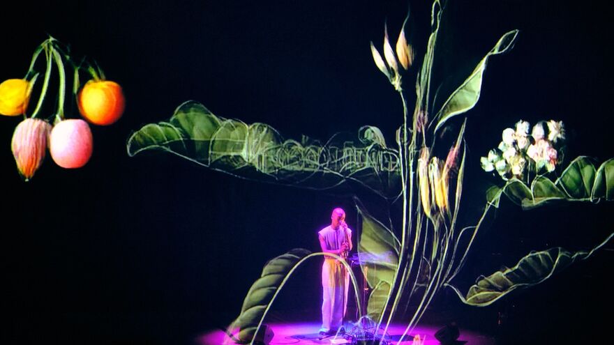 Evadney stands on stage surrounded by visuals of flowers