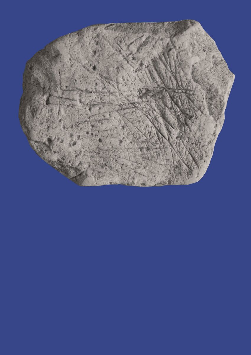 A large boulder in front of a bright blue background