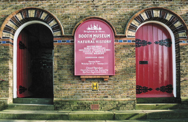 The front of the Booth Museum of Natural History - a brick wall with two big red doors and a red Booth Museum sign in the middle