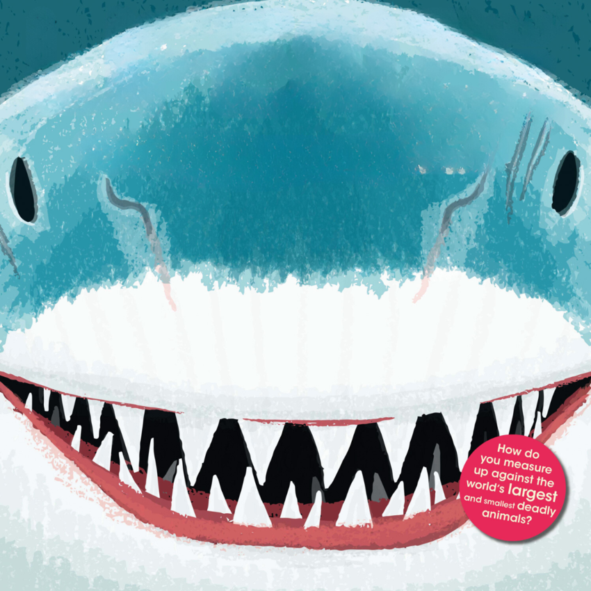 An illustration of the face of a shark