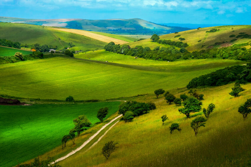 A photo of green hills and trees, with a bright blue sky 