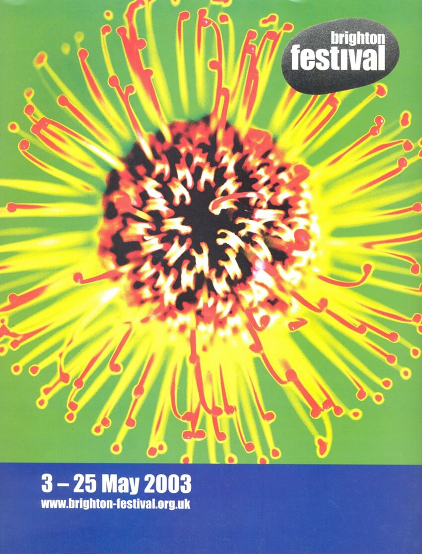 Brighton Festival 2003 brochure covering featuring a close up of a colourful flower