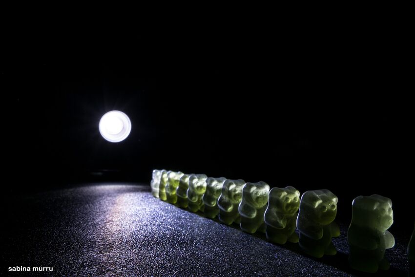A line of 11 green Gummy Bears with intense, shadowy back-lighting