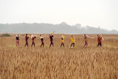 A group of musicians march through a golden field. They are all dressed in yellows and burgundies