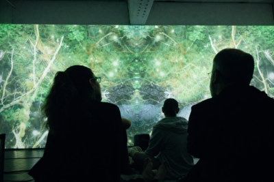 Silhouetted people sit in front of a giant screen which shows an imagined forest landscape