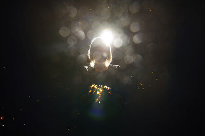 A person holds a bundle of fairylights in front of her, barely visible from a bright backlight and dust specks 