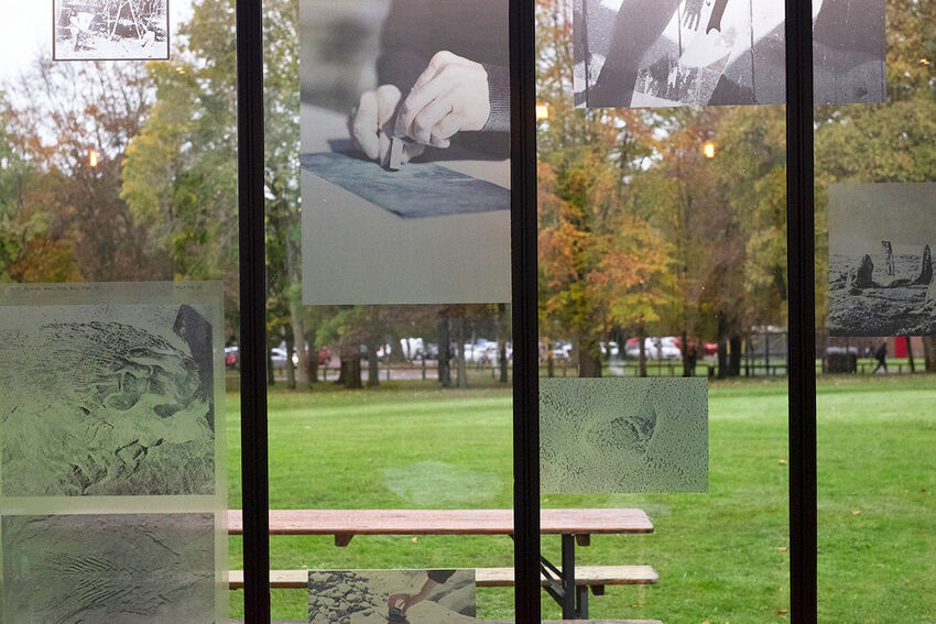 View out of a window looking over a lawn backed with trees