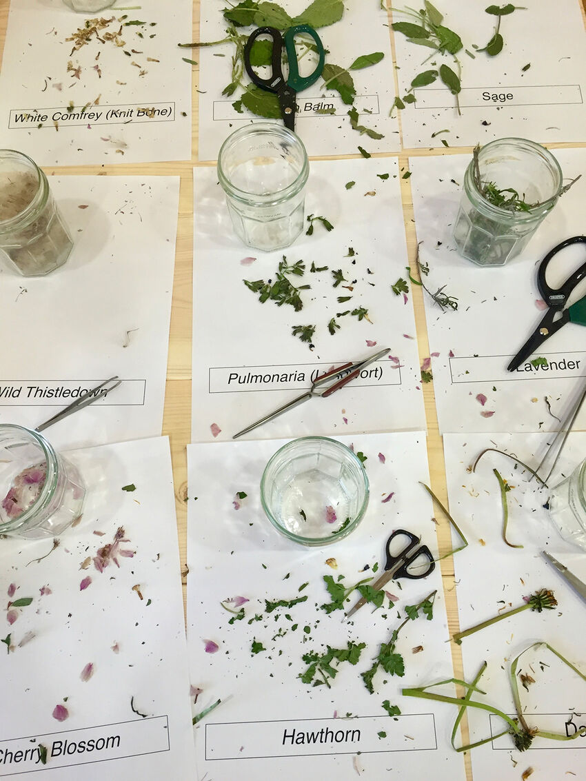 A selection of glass jars surrounded by chopped herbs