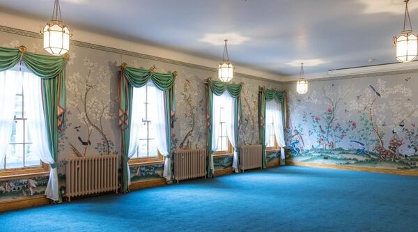 A room with blue carpet and extravagant bird and tree themed wallpaper