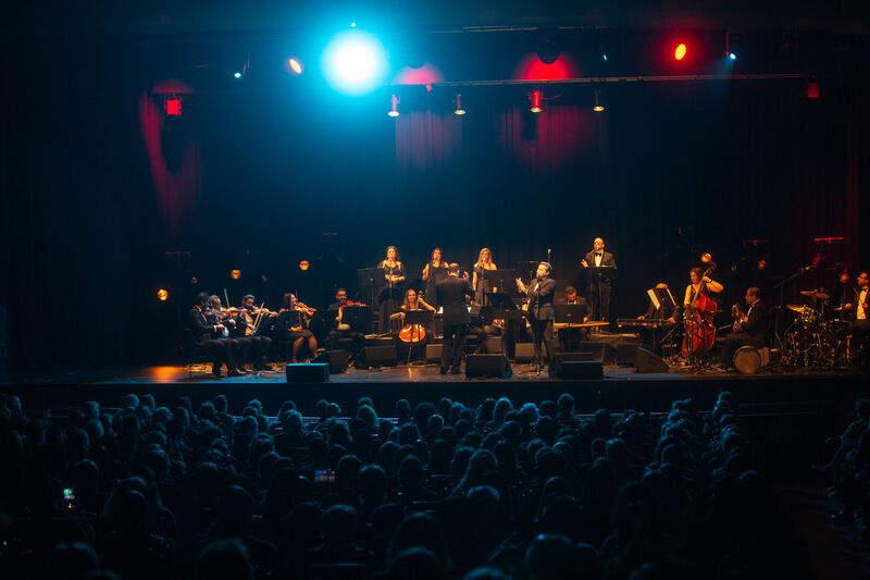 Audience watching Orchestra of Syrian Musicians on stage