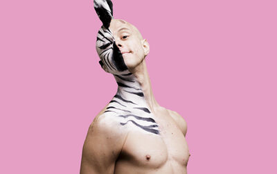 Brook Tate topless with half their chest and face painted like a zebra in front of a pink background